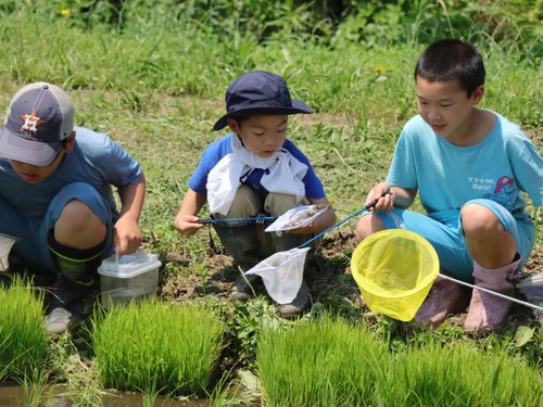 「農」をより身近に感じられるかさま暮らしを始めませんか?