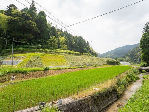 脊振の暮らしを、あなたらしく動画にしてください