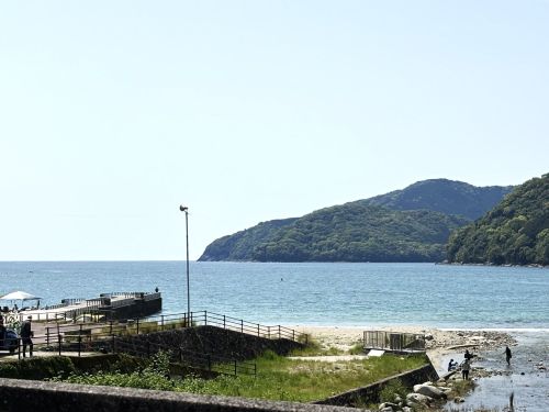 海