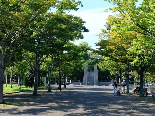 広い公園でリラックス