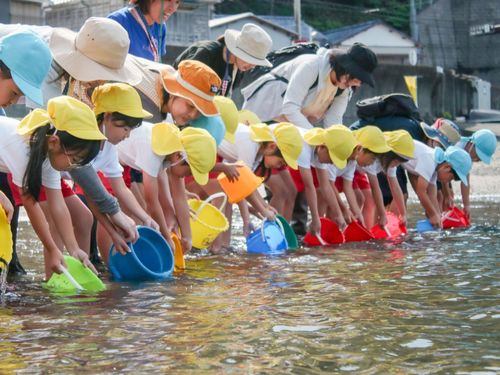 稚魚放流の様子