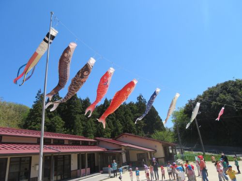 見学では、島のリアルな暮らしが感じられる行程でご案内します!