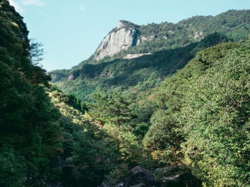 九州最後の秘境とも言われる大崩山の麓が私たちの拠点です⛰️