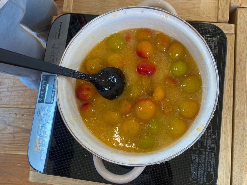 園庭で梅を取り、梅仕事も毎年恒例になりました