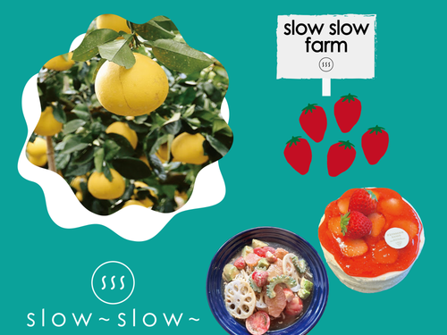 1/30(土)開催!<slow な収穫&料理教室>も応募受付中♪