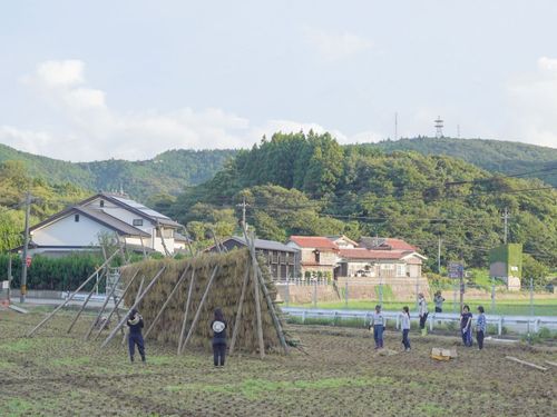 秋は収穫作業を通して地域のつながりを感じられます