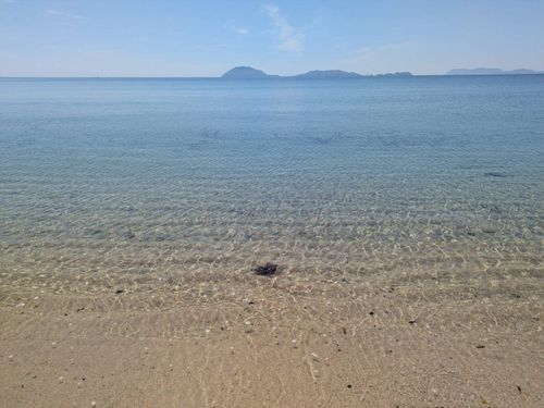 透明感のある美しい海
