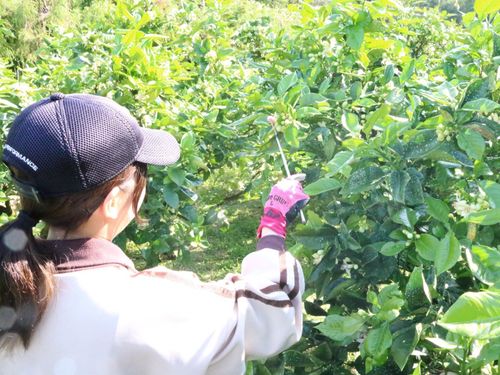 地域のボランティア活動にも積極的な会社です。ご興味のある方は聞いてみて◎