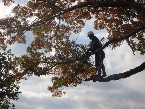 空師