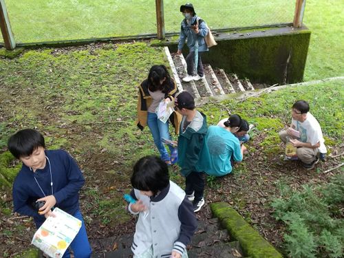 探検の様な自然観察の様子