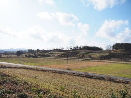 地区の圃場
