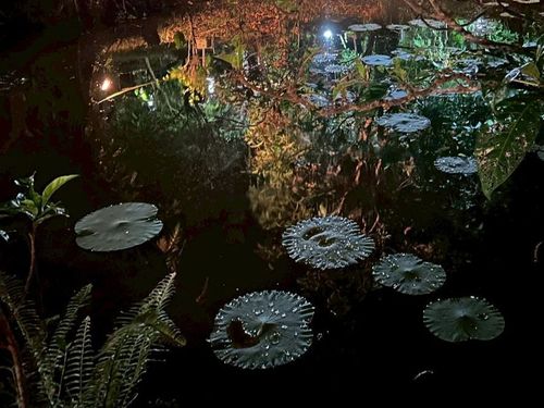 石垣島　夜