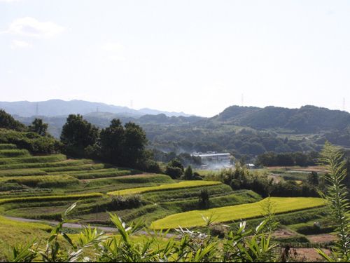 美しい棚田の風景（北区淡河町）