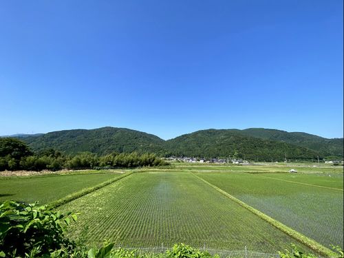 高島市マキノ町の様子