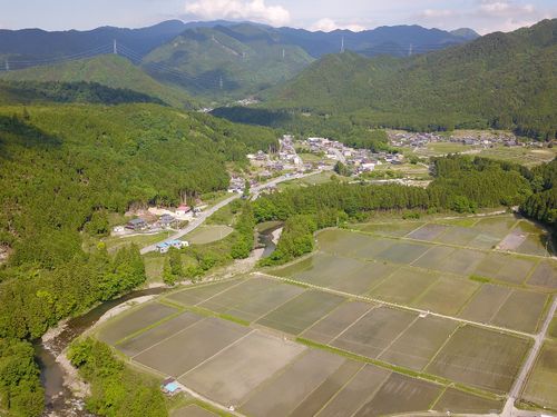 集落のようす