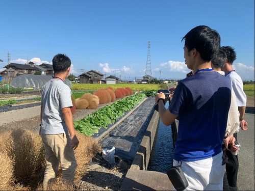 高島の自然の風景も見れちゃいます!