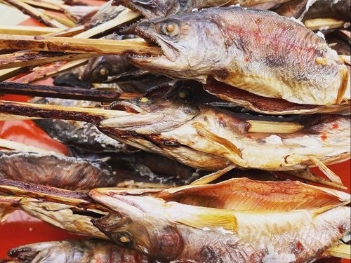 川で釣ったアメゴは塩焼きにして自然の中で食べるのがおススメ！