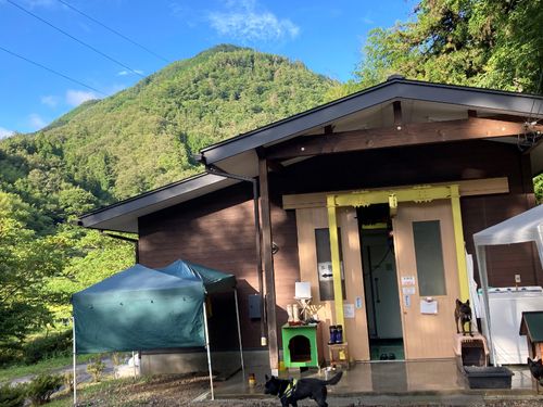 泰阜ジビエもみじやの外観(スタッフの犬達とともに)