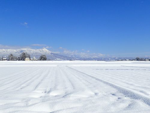 雪の積もった田んぼ