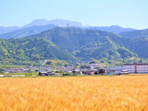 西条市_石鎚山