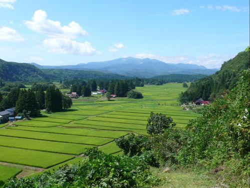 アテンド例：中世の田園風景が残る骨寺村荘園遺跡