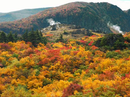 アテンド例：神の絨毯と呼ばれ、登山客に親しまれる栗駒山