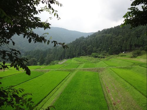 中山間地域の竹野南地区