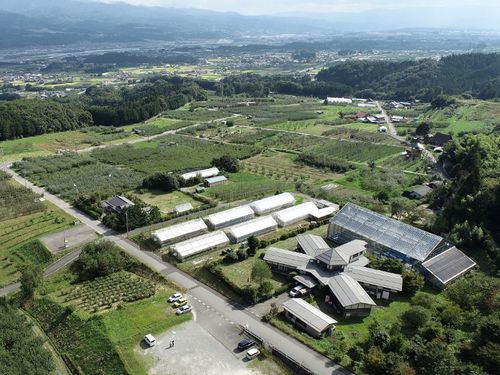 勤務先のアグリ交流センター