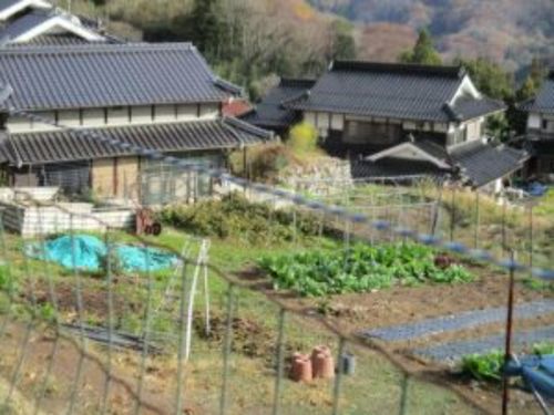 家庭菜園に十分の広さの畑でゆったりと田舎暮らしが楽しめます。
