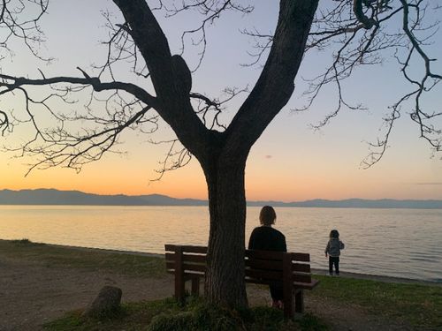 昨年は、夕暮れの琵琶湖も見に行きました〜!