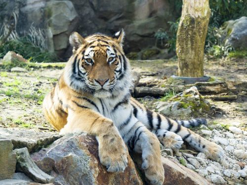 いしかわ動物園　希少動物がたくさん！