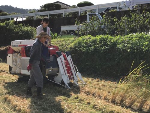 自然を感じられる嶺北高校のプログラム