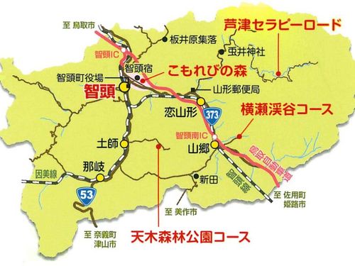 セラピーロードマップ