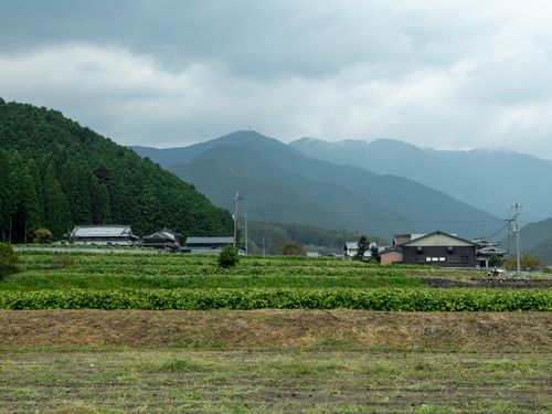 自然豊かな多可町での農業体験