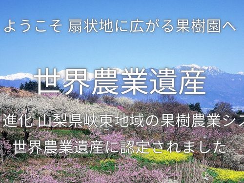 世界農業遺産認定の扇状地