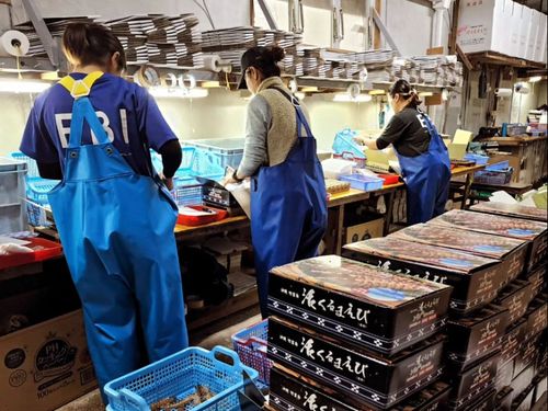 出荷作業の様子