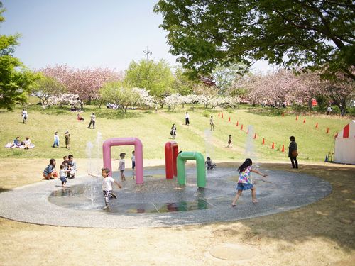 静峰ふるさと公園の様子。春に咲く桜は圧巻です！