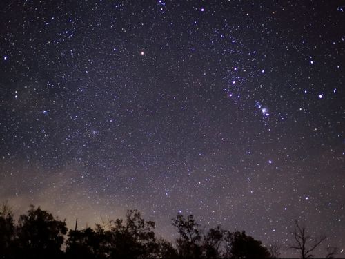 夜になれば満点の星空が眺めます！