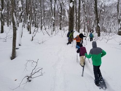 初心者でも雪の上をすいすい歩けます!普段見られない景色を見に行きましょう