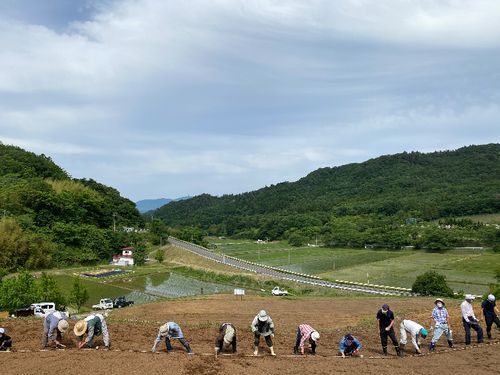 地域のコミュニティみんなで畑仕事をしています