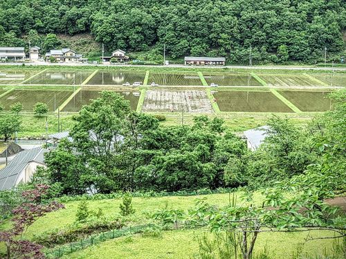 第1回テーマの但東町の風景