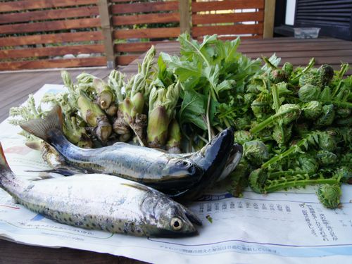 自然の恵みに感謝