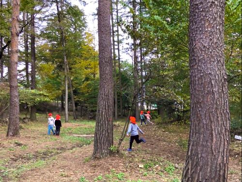 学校に隣接する森(林間)は、1ヘクタールの広さ