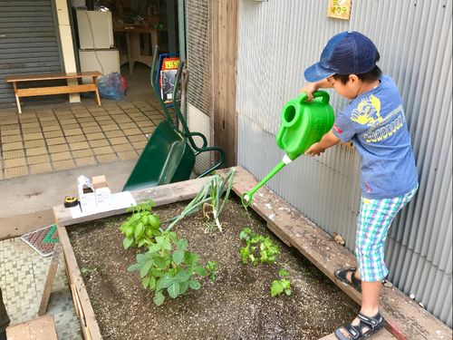 大人も子どももプロジェクトに参加しています！