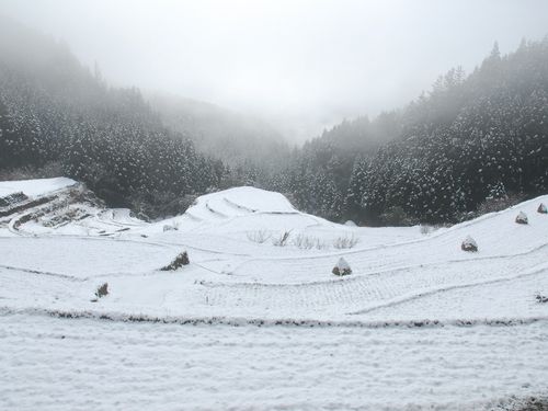 棚田の雪化粧が見れるのは住んでいる人の特権です