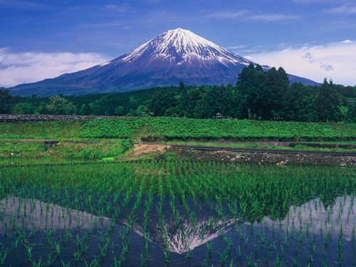 富士宮市から見る富士山