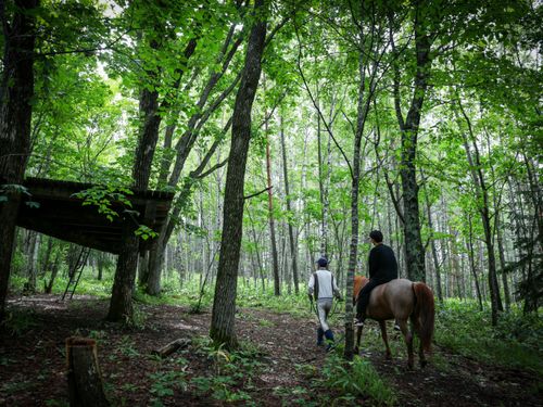 馬と共生する暮らし -できる限り自給自足のある暮らしを-