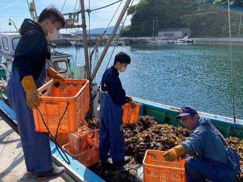 隠岐島前高校では地域に飛び出し、島でしか触れることのできない様々なことを学びます。