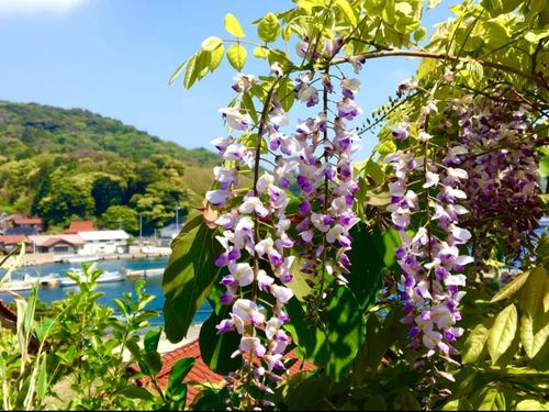 四季の移ろいを感じられる島です。