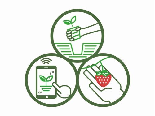定植、収穫、およびデータ管理は人の手で行います。